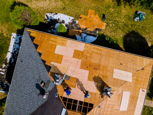 Best Metal Roofing Contractor  in Iola, KS